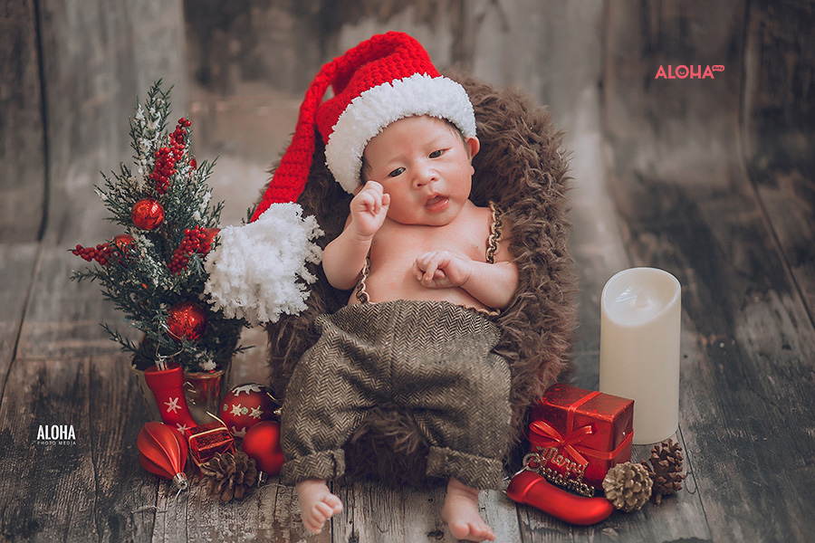 album ảnh giáng sinh newborn